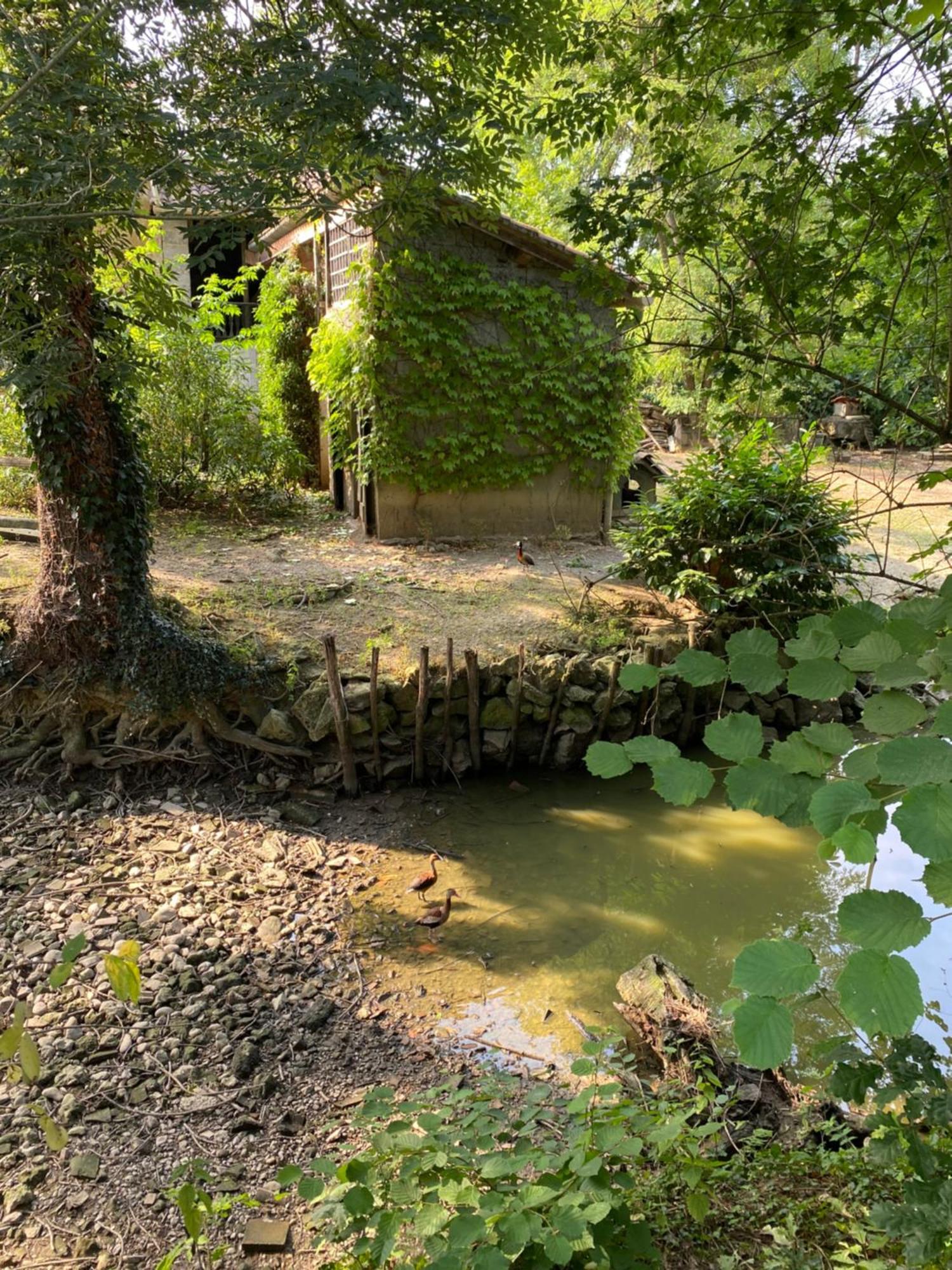 La Seigneurie De Tillac Exterior foto